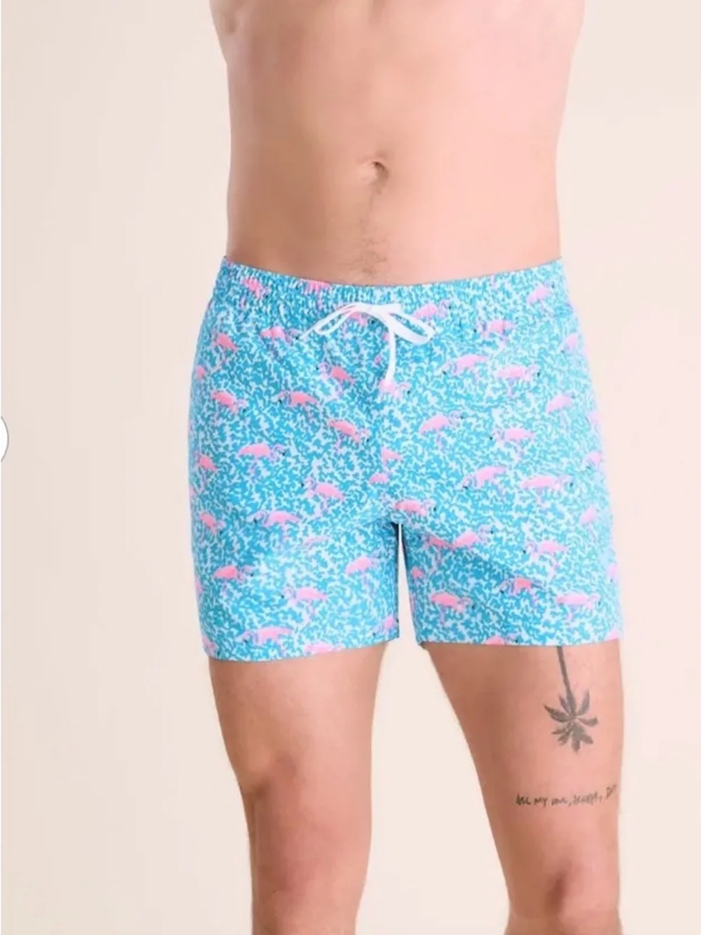 CHUBBIES Flamingo‎ Print Swim Trunks Blue Pink Elastic Waist Sz S
